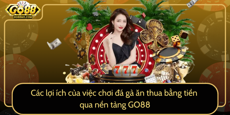 Các lợi ích của việc chơi đá gà ăn thua bằng tiền qua nền tảng GO88 Các lợi ích của việc chơi đá gà ăn thua bằng tiền qua nền tảng GO88
