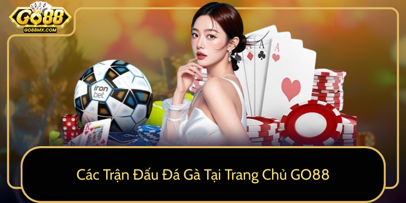 Các Trận Đấu Đá Gà Tại Trang Chủ GO88 Các Trận Đấu Đá Gà Tại Trang Chủ GO88