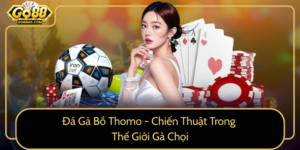 Da Ga Bo Thomo Chien Thuat Trong The Gioi Ga Choi