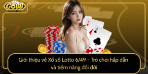 Gioi Thieu Ve Xo So Lotto 6 49 Tro Choi Hap Dan Va Tiem Nang Doi Doi