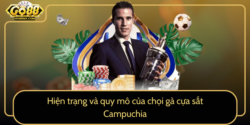 Hiện trạng và quy mô của chọi gà cựa sắt Campuchia Hiện trạng và quy mô của chọi gà cựa sắt Campuchia