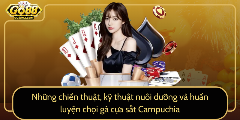 Những chiến thuật, kỹ thuật nuôi dưỡng và huấn luyện chọi gà cựa sắt Campuchia Những chiến thuật, kỹ thuật nuôi dưỡng và huấn luyện chọi gà cựa sắt Campuchia